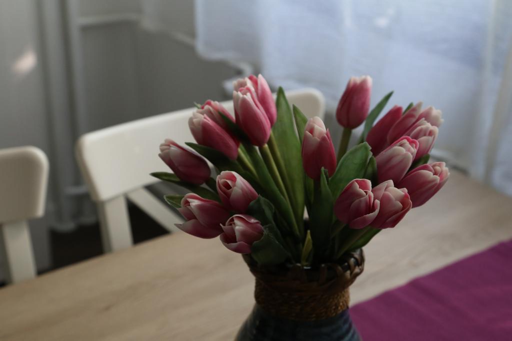 Apartman Joop